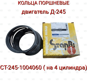 моторокомплект п/колец СТ-245-1004060(на 4 цил.)